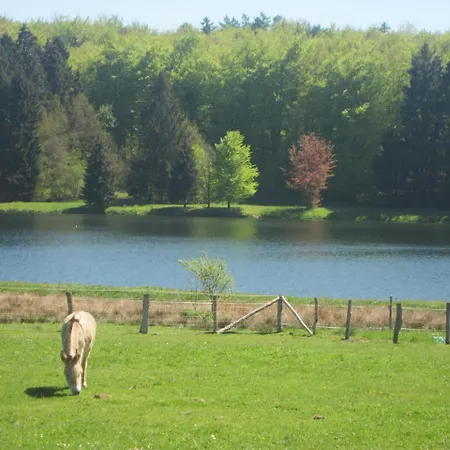 Spacious Holiday In With Jacuzzi Ferienhaus Bastogne